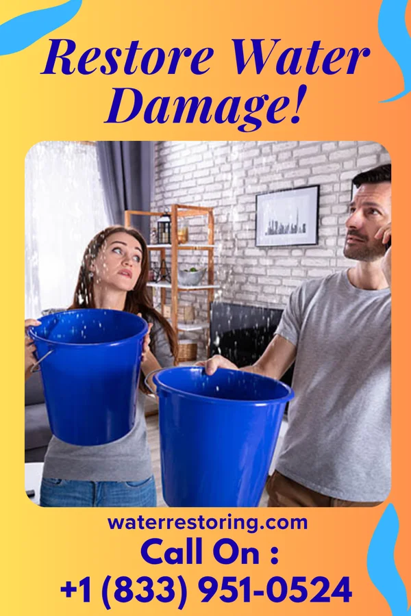 water restoration Platinum Water Removal Group Montevallo
