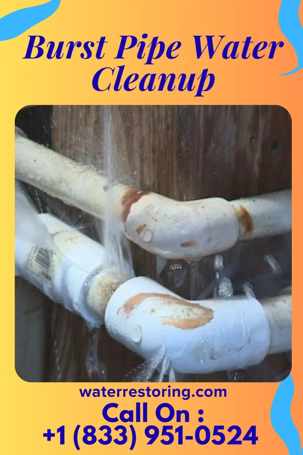 Burst Pipe Water Cleanup in Montevallo, AL